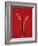 A Red Chili Pepper Sliced in Half-Jan-peter Westermann-Framed Photographic Print