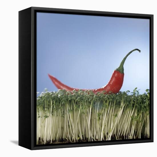 A Red Chilli Lying on a Bed of Cress-null-Framed Premier Image Canvas