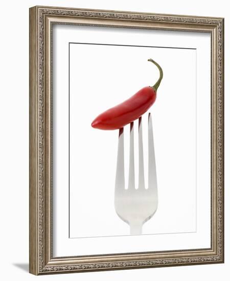 A Red Chilli on a Fork-Greg Elms-Framed Photographic Print