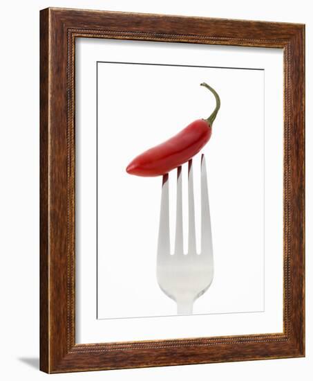 A Red Chilli on a Fork-Greg Elms-Framed Photographic Print