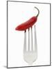 A Red Chilli on a Fork-Greg Elms-Mounted Photographic Print