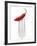 A Red Chilli on a Fork-Greg Elms-Framed Photographic Print