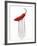 A Red Chilli on a Fork-Greg Elms-Framed Photographic Print