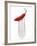 A Red Chilli on a Fork-Greg Elms-Framed Photographic Print