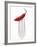 A Red Chilli on a Fork-Greg Elms-Framed Photographic Print