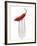 A Red Chilli on a Fork-Greg Elms-Framed Photographic Print