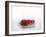 A Red Chilli Pepper Falling into Water-Kröger & Gross-Framed Photographic Print