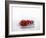 A Red Chilli Pepper Falling into Water-Kröger & Gross-Framed Photographic Print