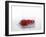 A Red Chilli Pepper Falling into Water-Kröger & Gross-Framed Photographic Print