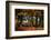 A Red Deer, Cervus Elaphus, in London's Richmond Park-Alex Saberi-Framed Photographic Print