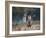 A Red Deer Stag, Cervus Elaphus, Bellows During Rutting Season in London's Richmond Park-Alex Saberi-Framed Photographic Print