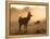 A Red Deer with Western Jackdaw, Corvus Monedula, in London's Richmond Park-Alex Saberi-Framed Premier Image Canvas