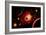 A Red Giant Star System-null-Framed Art Print