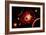 A Red Giant Star System-null-Framed Art Print