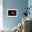 A Red Giant Star System-null-Framed Art Print displayed on a wall