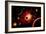 A Red Giant Star System-null-Framed Art Print