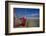 A Red Hammock Spread Out by the Wind Swings Above the Water During Low Tide, Hobox Island, Mexico-Karine Aigner-Framed Photographic Print