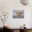 A Red Knot (Calidris Canutus) in Breeding Plumage, Washington, USA-Gary Luhm-Photographic Print displayed on a wall