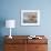 A Red Knot (Calidris Canutus) in Breeding Plumage, Washington, USA-Gary Luhm-Framed Photographic Print displayed on a wall