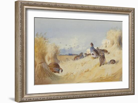 A Red Legged Patridge and a Covey of Grey Patridges by Corn Stooks-Archibald Thorburn-Framed Giclee Print