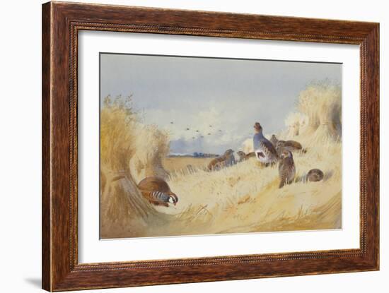 A Red Legged Patridge and a Covey of Grey Patridges by Corn Stooks-Archibald Thorburn-Framed Giclee Print