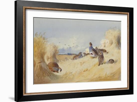 A Red Legged Patridge and a Covey of Grey Patridges by Corn Stooks-Archibald Thorburn-Framed Giclee Print