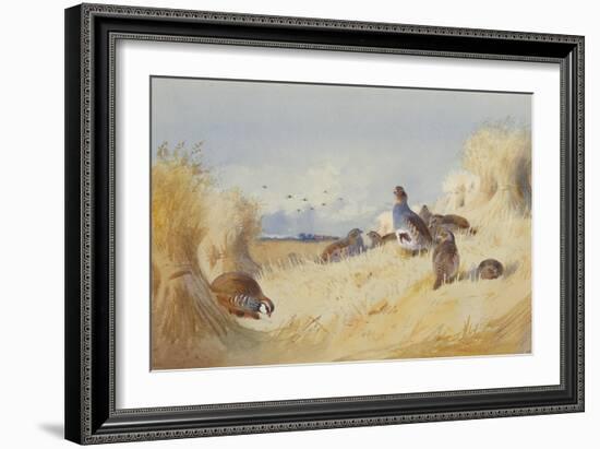 A Red Legged Patridge and a Covey of Grey Patridges by Corn Stooks-Archibald Thorburn-Framed Giclee Print