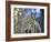 A Red-Necked Tanager, Tangara Cyanocephala, Feeding on Berries of a Palm Tree-Alex Saberi-Framed Photographic Print