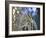 A Red-Necked Tanager, Tangara Cyanocephala, Feeding on Berries of a Palm Tree-Alex Saberi-Framed Photographic Print