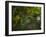 A Red-Necked Tanager, Tangara Cyanocephala, in Ubatuba-Alex Saberi-Framed Photographic Print