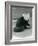 A Red Panda Sitting at London Zoo, 1917-Frederick William Bond-Framed Photographic Print