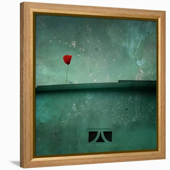 A Red Poppy on a Green House-Luis Beltran-Framed Premier Image Canvas