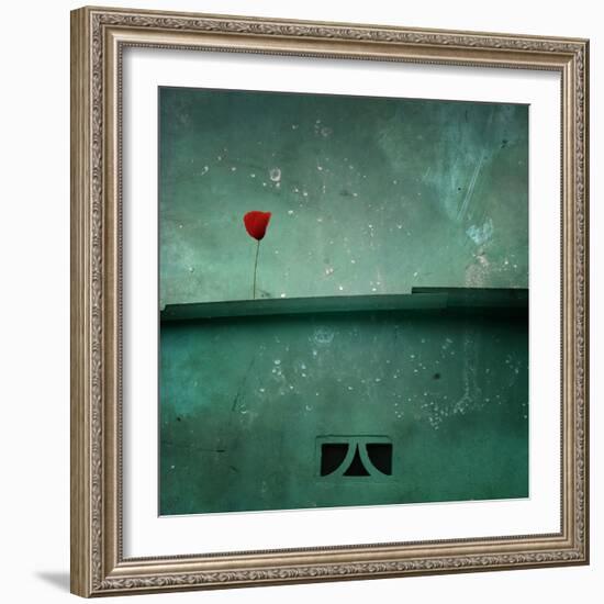 A Red Poppy on a Green House-Luis Beltran-Framed Photographic Print