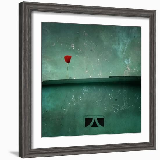 A Red Poppy on a Green House-Luis Beltran-Framed Photographic Print