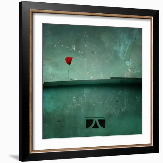 A Red Poppy on a Green House-Luis Beltran-Framed Photographic Print