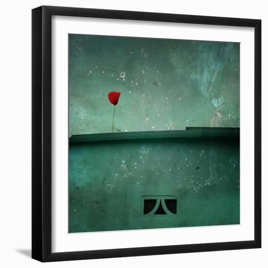 A Red Poppy on a Green House-Luis Beltran-Framed Photographic Print