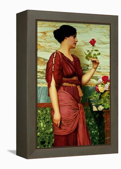 A Red, Red Rose-John William Godward-Framed Premier Image Canvas