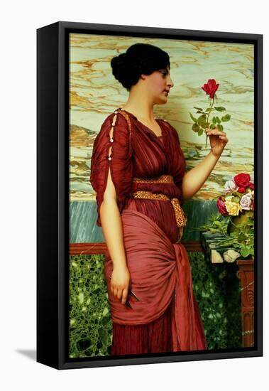 A Red, Red Rose-John William Godward-Framed Premier Image Canvas