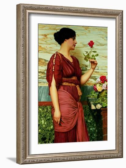 A Red, Red Rose-John William Godward-Framed Giclee Print