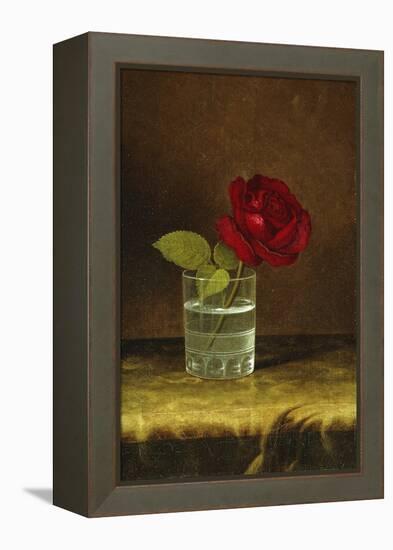 A Red Rose-Martin Johnson Heade-Framed Premier Image Canvas