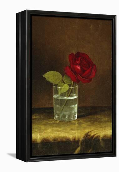 A Red Rose-Martin Johnson Heade-Framed Premier Image Canvas