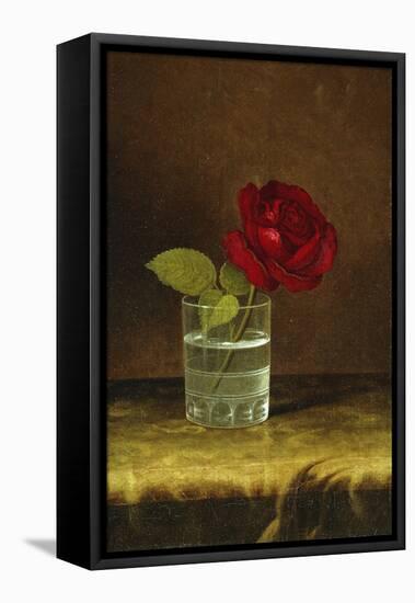 A Red Rose-Martin Johnson Heade-Framed Premier Image Canvas