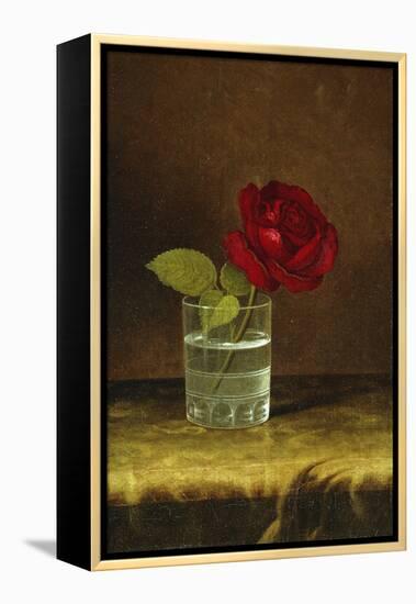 A Red Rose-Martin Johnson Heade-Framed Premier Image Canvas