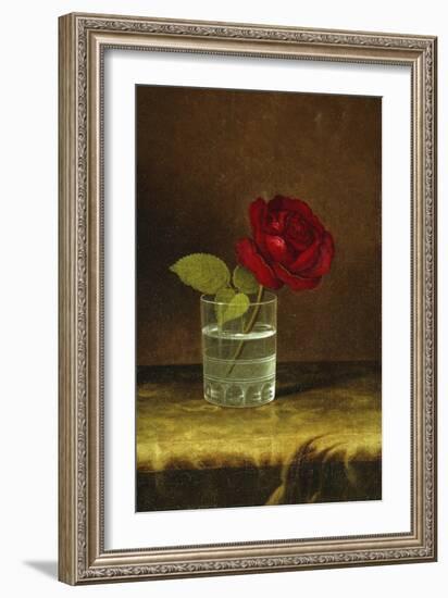 A Red Rose-Martin Johnson Heade-Framed Giclee Print