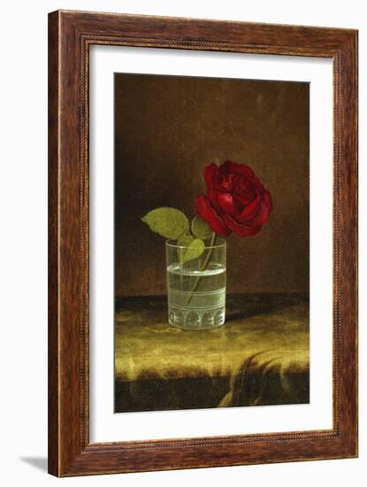 A Red Rose-Martin Johnson Heade-Framed Giclee Print