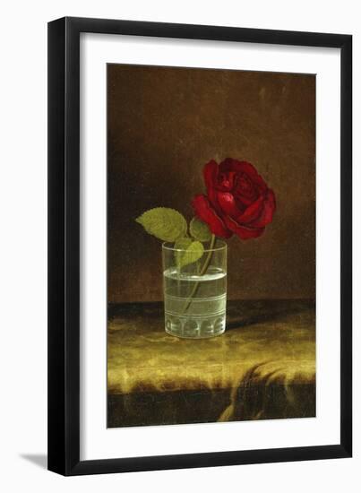 A Red Rose-Martin Johnson Heade-Framed Giclee Print