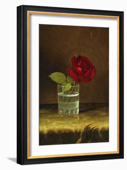 A Red Rose-Martin Johnson Heade-Framed Giclee Print