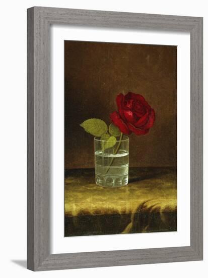 A Red Rose-Martin Johnson Heade-Framed Giclee Print