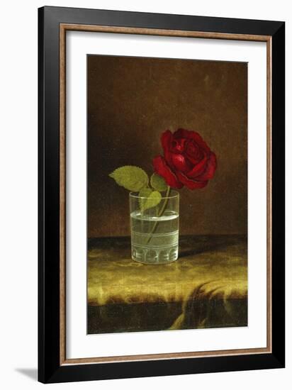 A Red Rose-Martin Johnson Heade-Framed Giclee Print