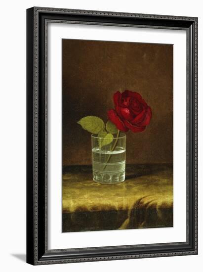 A Red Rose-Martin Johnson Heade-Framed Giclee Print